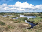 Guidel : marais le long de la côte