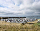 Tregunc - pointe de Trévignon - le port