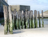 Saint Malo : brise lames en bois