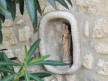 La Garde Adhémar : niche et statuette de vierge