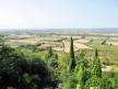 La Garde Adhémar : paysage depuis la ville