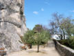 Aiguèze : le chemin de ronde et l'olivier