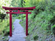 Digne les bains : Musée promenade, le sentier de l'eau,le jardin japonais