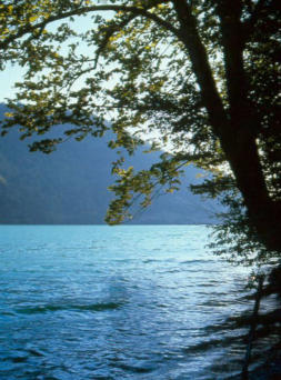 Nantua : rive du lac