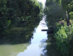 Coulon   ( le marais poitevin ) un canal