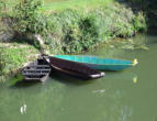 Coulon   ( le marais poitevin ) les barques