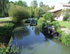 Coulon   ( le marais poitevin ) transport du bétail par barque