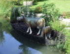 Coulon   ( le marais poitevin ) transport exemple de vaches