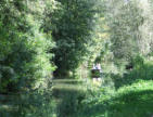 Arçais   ( le marais poitevin ) balade au milieu de la végétation