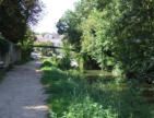 Arçais   ( le marais poitevin ) chemin de halage