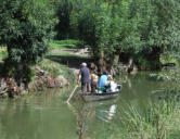 Arçais   ( le marais poitevin ) balade au fil de l'eau