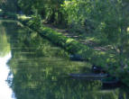 Coulon   ( le marais poitevin ) canal, barques et chemin de rive