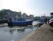 Port en Bessin : port de pêche