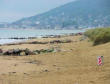 Cabourg : plage